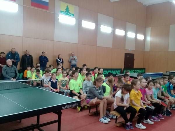 Открытое Первенство Сабинского района по настольному теннису