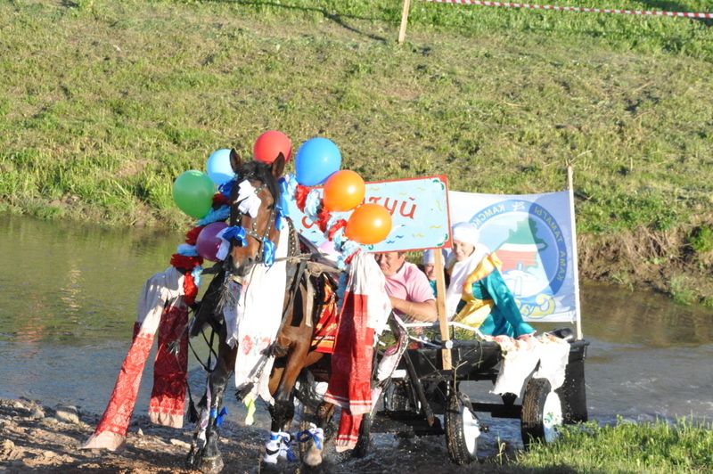 Миңгәр авылында Көрәш буенча узган Дөнья чемпионаты (фоторепортаж)