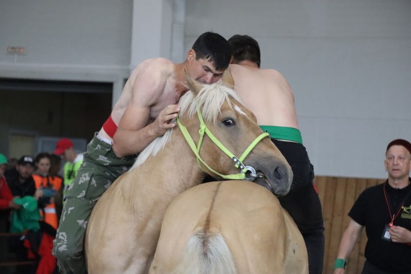 Сабада атларга утырып көрәшү буенча  дөнья  чемпионаты үтте