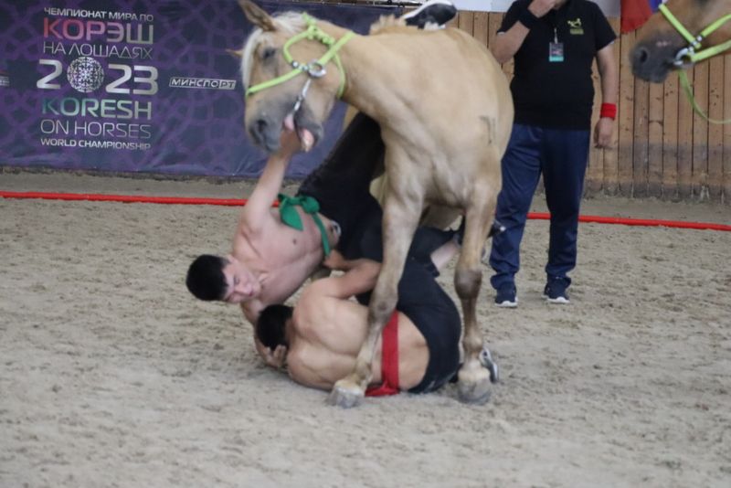 Сабада атларга утырып көрәшү буенча  дөнья  чемпионаты үтте