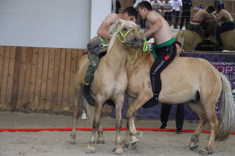 Сабада атларга утырып көрәшү буенча  дөнья  чемпионаты үтте