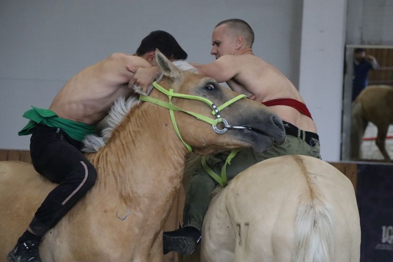 Сабада атларга утырып көрәшү буенча  дөнья  чемпионаты үтте