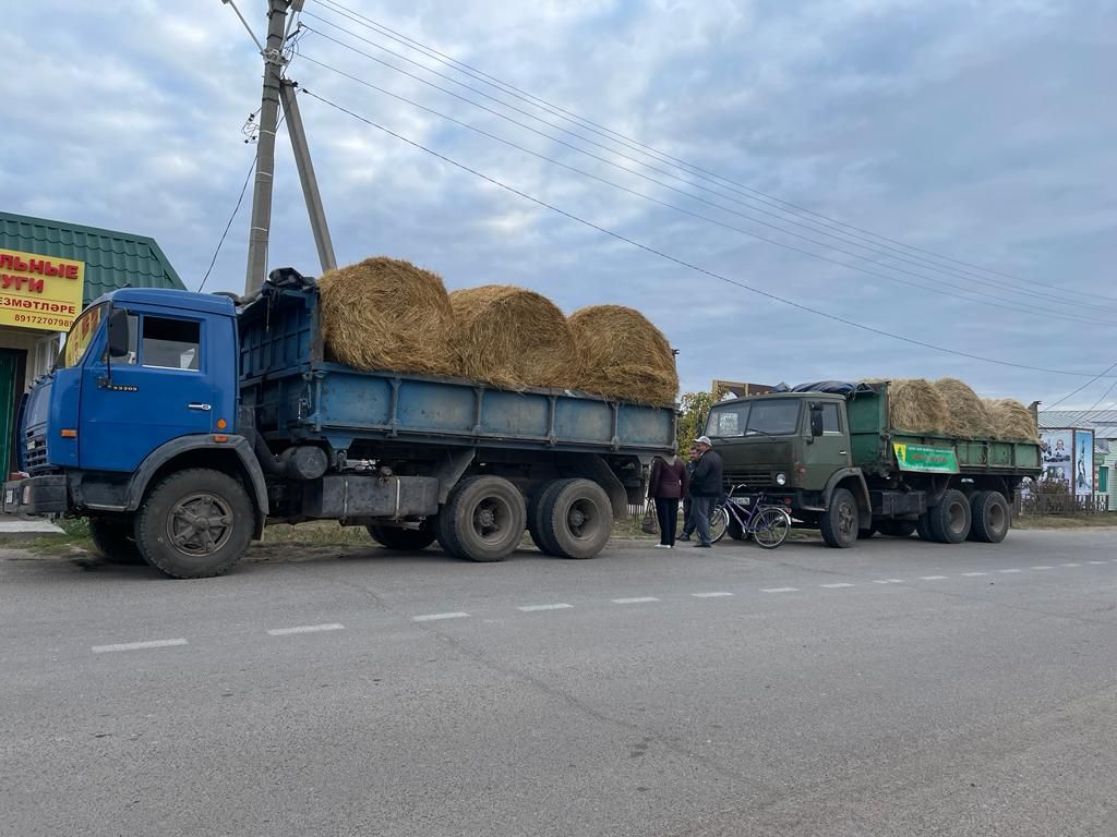 Күрше районнардан да килделәр