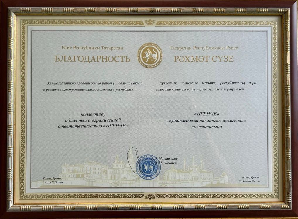 “Игенче” җәмгыяте  республика рәисенең Рәхмәт сүзенә лаек булды
