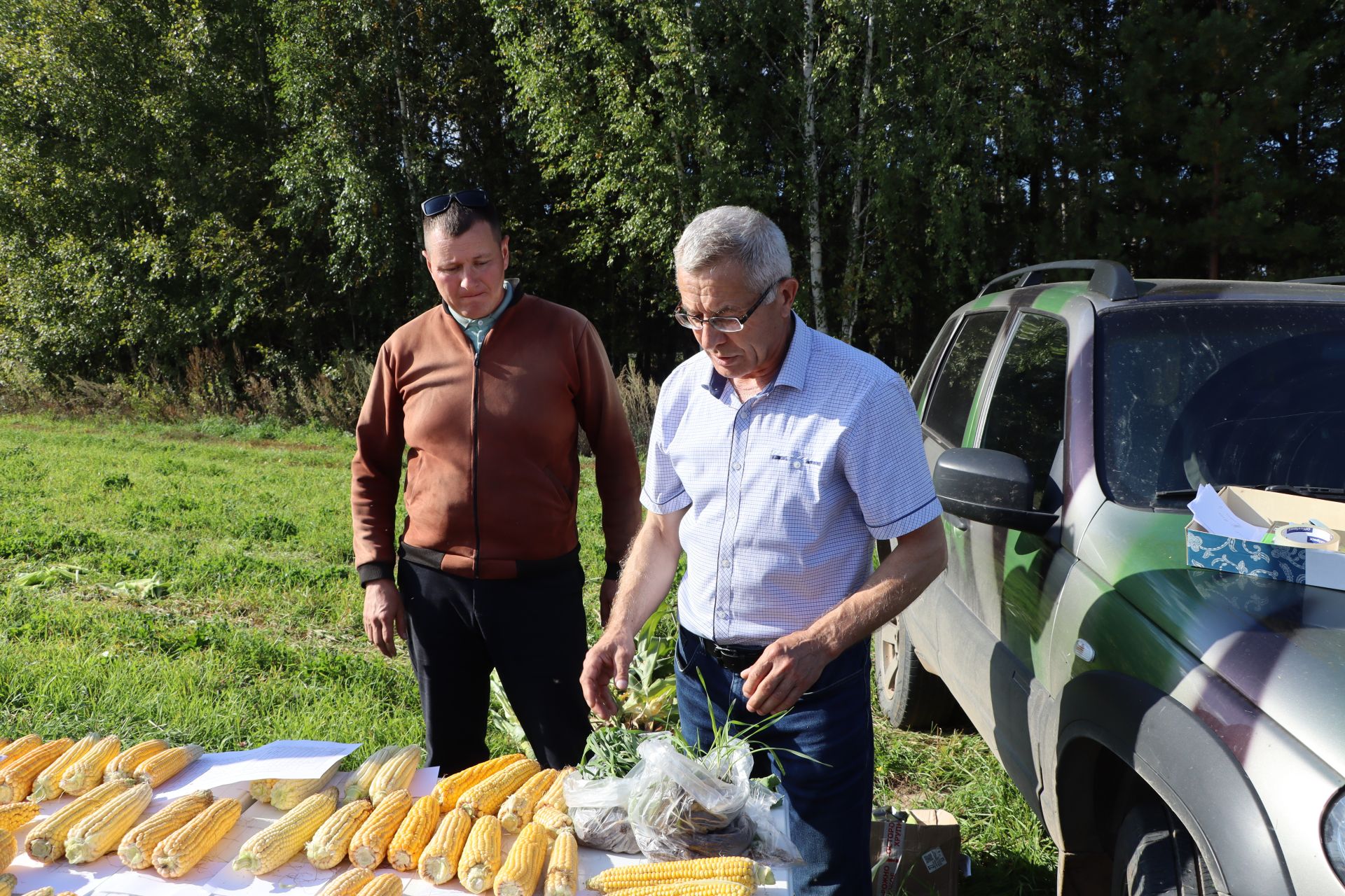 Кукуруз  урырга да, җир эшкәртергә  дә вакыт