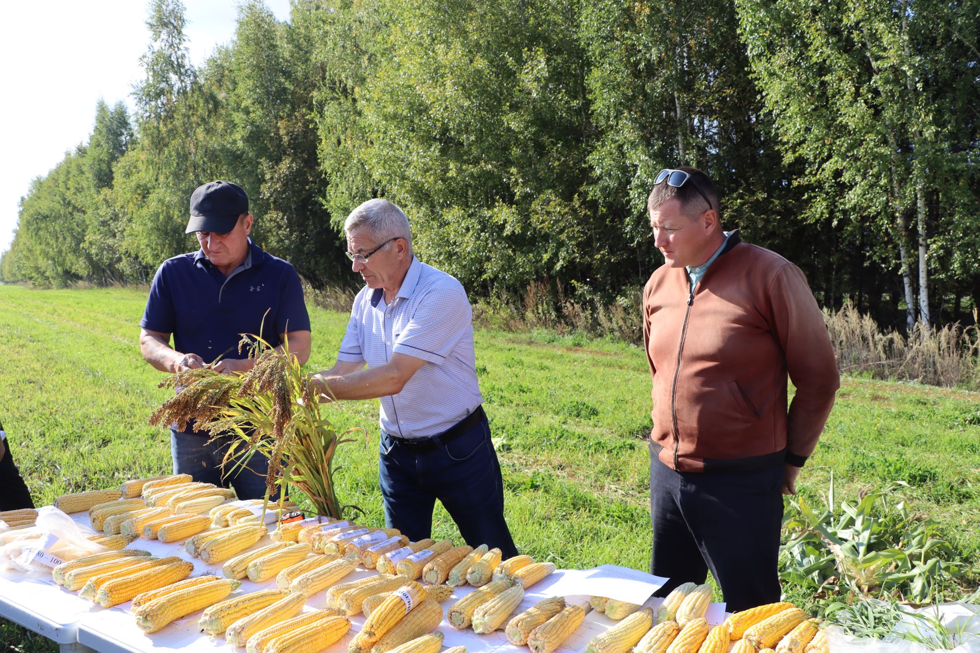 Кукуруз  урырга да, җир эшкәртергә  дә вакыт