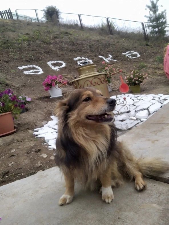 Чишмәләр челтерәп аксын!