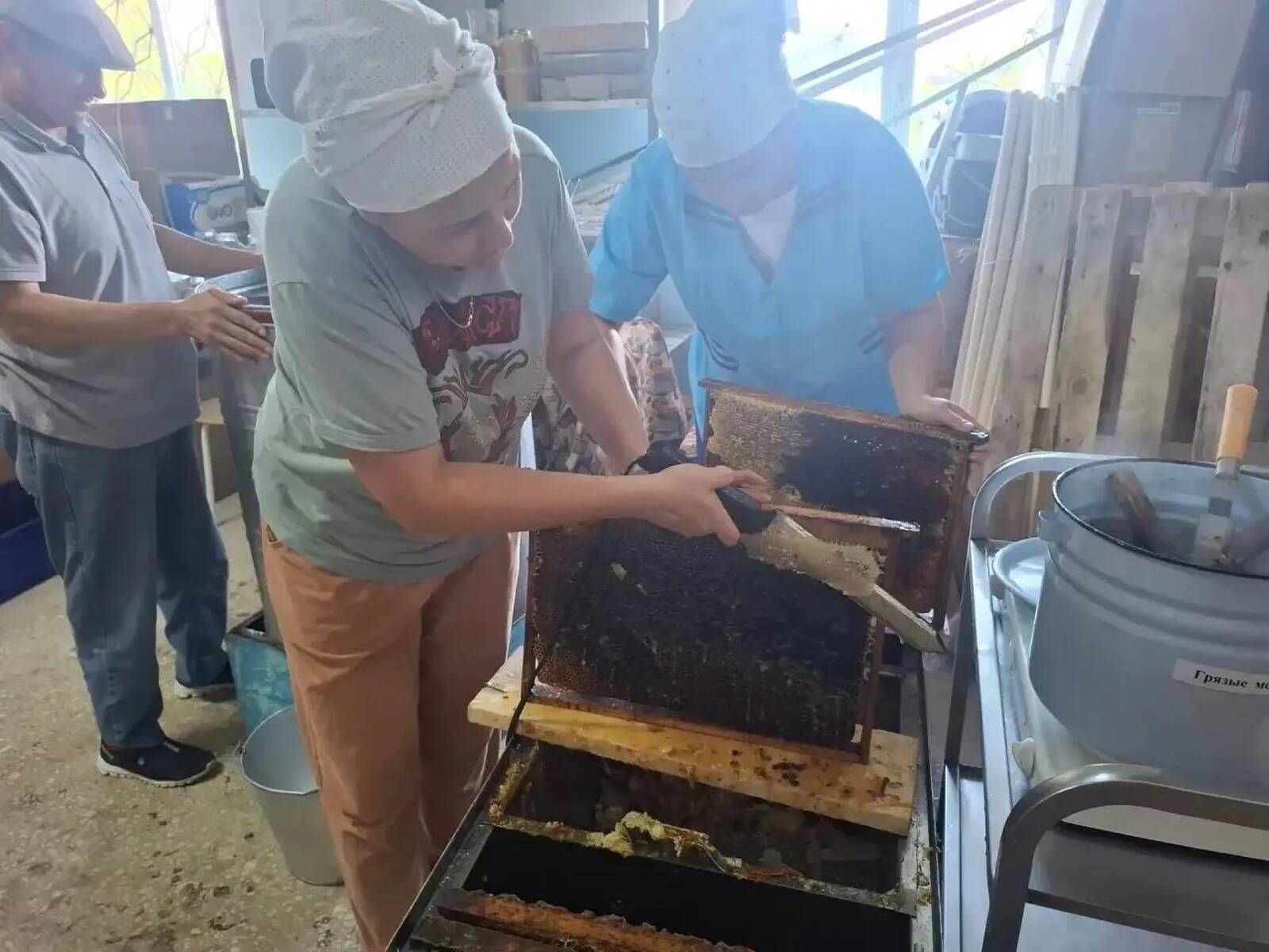 Лесхоз бистәсендә урнашкан  өлкәннәр өчен интернат-йортның умарталыгы мул уңыш белән сөендерде