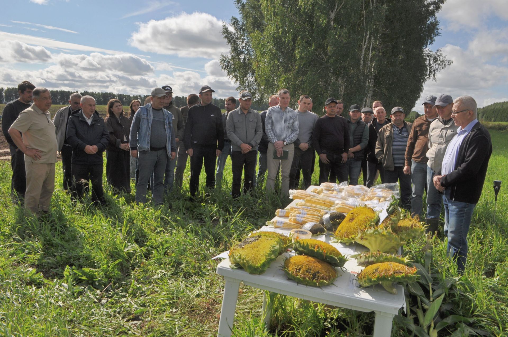 “Юлбат” җәмгыяте  базасында узган  киңәшмәдә җирләрне  эшкәртүгә, сатыла торган техник  культураларны үстерүгә, терлекчелек  продуктлары җитештерүгә  кагылышлы мәсьәләләр турында  сөйләштеләр