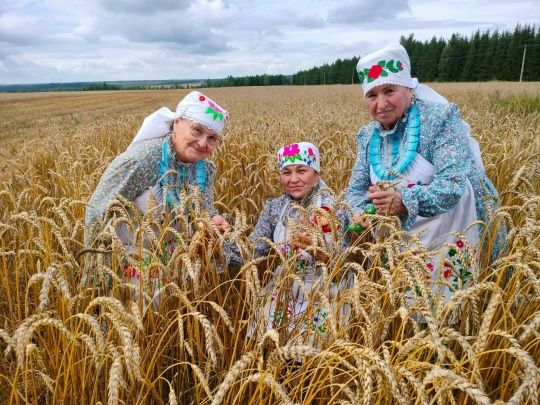 Шекшенең «Зиләйлүк» коллективы кыр батырлары алдында чыгыш ясады