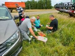 Шекшенең «Зиләйлүк» коллективы кыр батырлары алдында чыгыш ясады