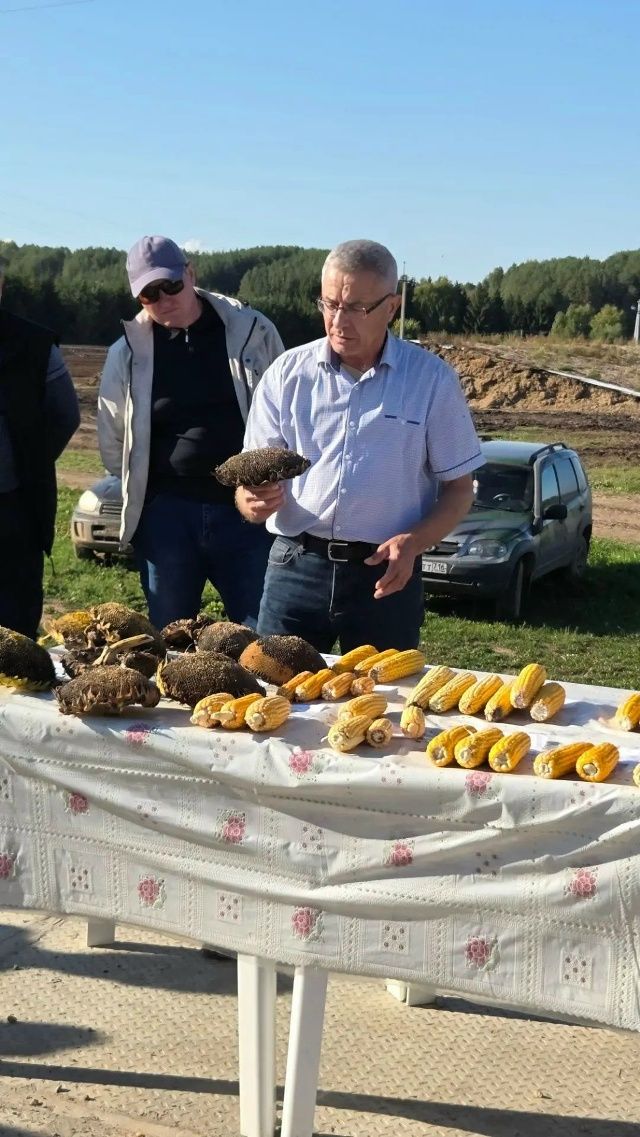 Гафур Хәсәншин җитәкчелегендә авыл хуҗалыгы эшенә йомгаклар ясалды