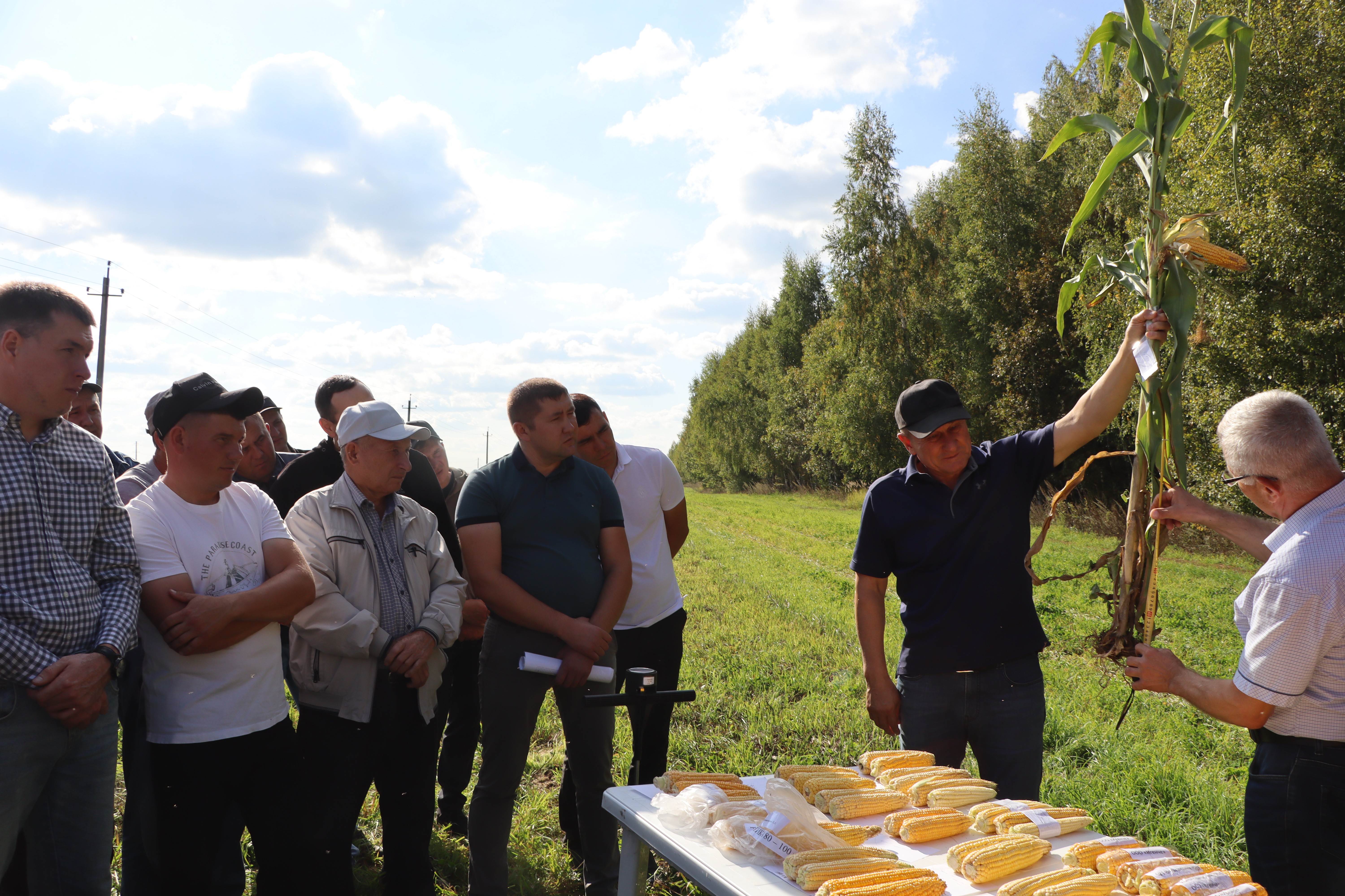 Сабада аграрийлар белән киңәшмә булды