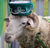 Корбан бәйрәме: 5 сорауга – 5 җавап