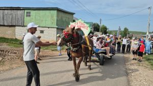 Сатышта бирнә җыярга җигүле ат бизәп чыкканнар