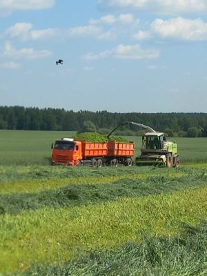 “Юлбат” җәмгыятенең Килдебәк бригадасында терлек азыгы әзерләү тулы куәтенә бара