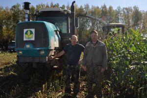 “Курсабаш”та барысы 11670 тонна  кукуруз  силосы  салынган