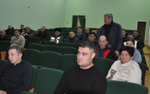 Продуктлылыклары кимүдә сыерларның гаебе юк