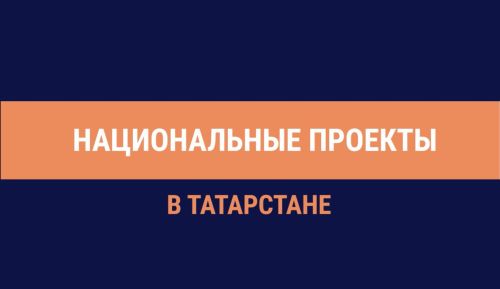 Татарстанда илкүләм проект буенча урман утырту өчен 12,1 тонна орлык әзерләнгән