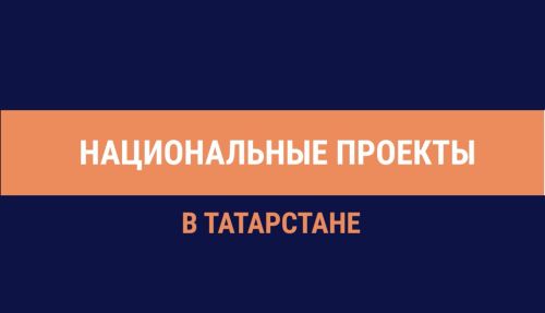 Татарстанда илкүләм проект буенча 2,5 мең гектар культураны урман җирләренә күчергәннәр