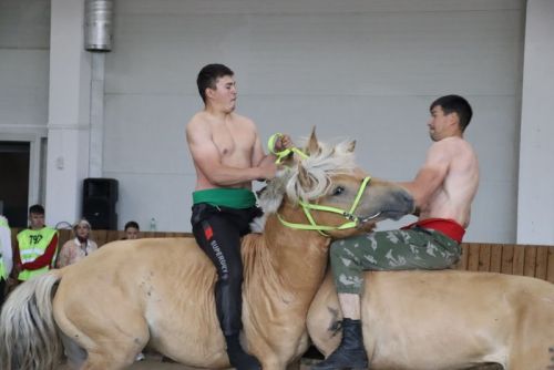 Сабада атларга утырып көрәшү буенча  дөнья  чемпионаты үтте