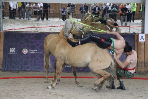 Сабада атларга утырып көрәшү буенча  дөнья  чемпионаты үтте