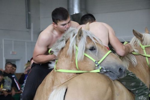 Сабада атларга утырып көрәшү буенча  дөнья  чемпионаты үтте