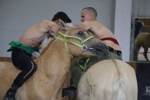Сабада атларга утырып көрәшү буенча  дөнья  чемпионаты үтте