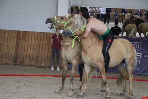Сабада атларга утырып көрәшү буенча  дөнья  чемпионаты үтте