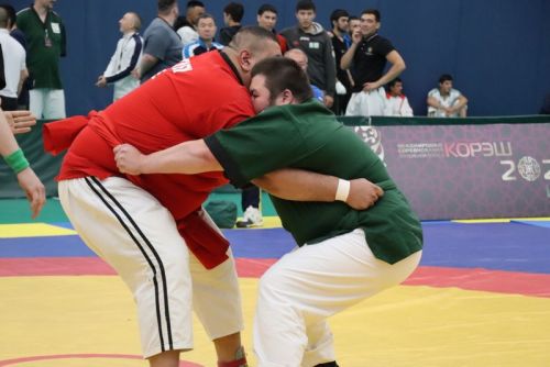 Миңгәрдә билбау  көрәше буенча дөнья чемпионатында  автомобиль Радик  Сәлаховка  бирелде