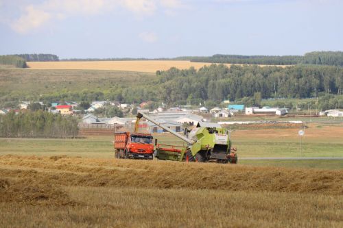 “Кырык  елдан  артык  эшләп, яңгырсыз җәйдә  бу  кадәр  уңыш  алган юк  иде әле”