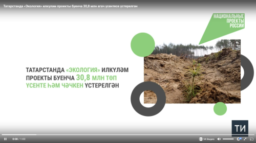 Татарстанда «Экология» илкүләм проекты буенча 30,8 млн агач үсентесе үстерелгән