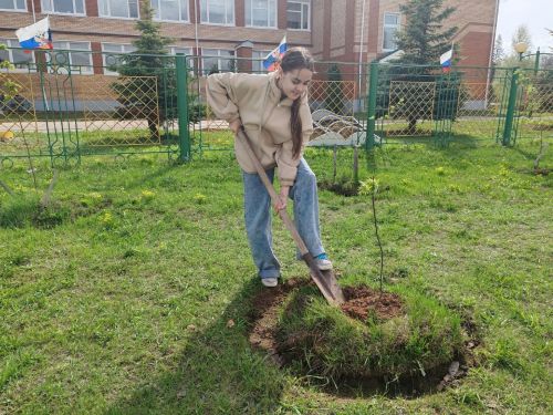 Шәмәрдән укучылары «Хәтер бакчасы» акциясенә кушылды