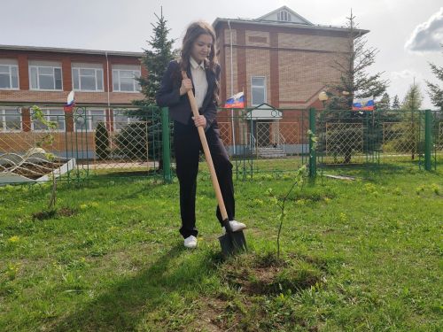 Шәмәрдән укучылары «Хәтер бакчасы» акциясенә кушылды