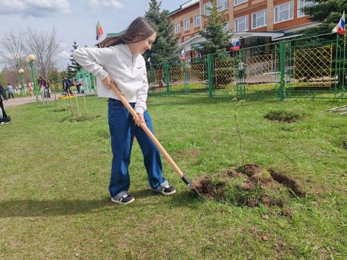 Шәмәрдән укучылары «Хәтер бакчасы» акциясенә кушылды