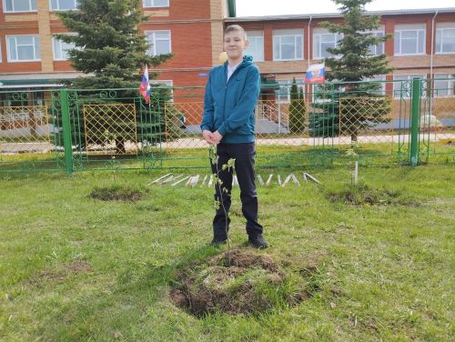 Шәмәрдән укучылары «Хәтер бакчасы» акциясенә кушылды