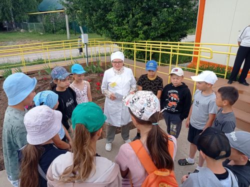 Медицина хезмәткәрләре балалар арасында имгәнү очраклары турында кисәтәләр