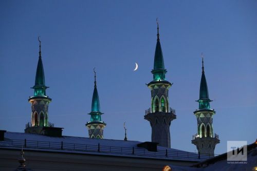 Гашура уразасы тотабыз