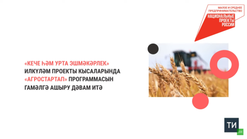Татарстан фермерларына ярдәм итү өчен 2024 елда илкүләм проект буенча 369 млн сум бүленде