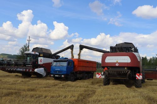 Оешканлык кырда күренә