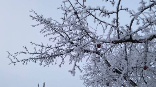 Бүген Сабада нинди һава торышы көтелә?