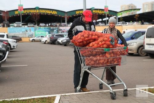Татарстанда 15 мартта язгы авыл хуҗалыгы ярминкәләре ачыла