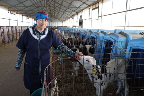 Ике коллектив бер, максатлар уртак булганда уңыш көттерми килә