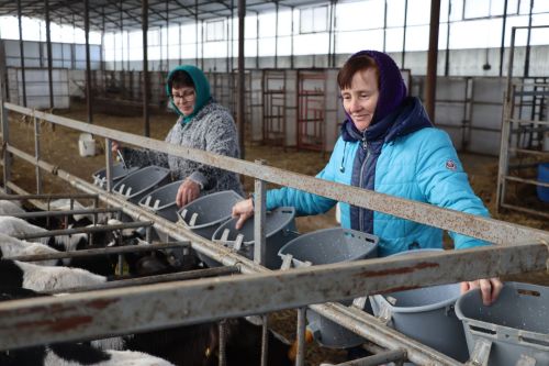 Ике коллектив бер, максатлар уртак булганда уңыш көттерми килә
