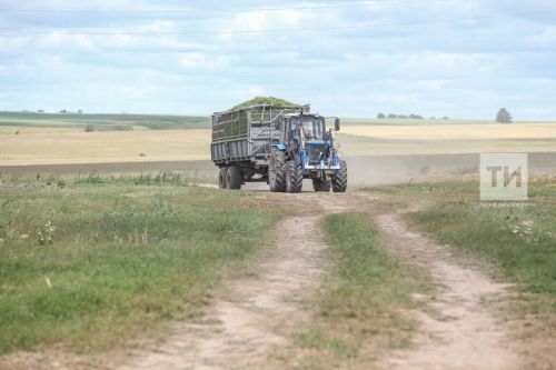 Сабада кыр эшләре  барышы
