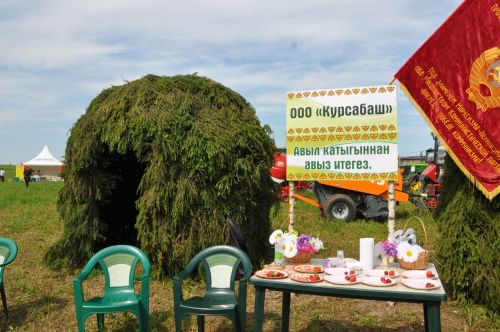 Саба Сабантуенда авыл хуҗалыгы хезмәткәрләренең аерым мәйданчыгы эшләде