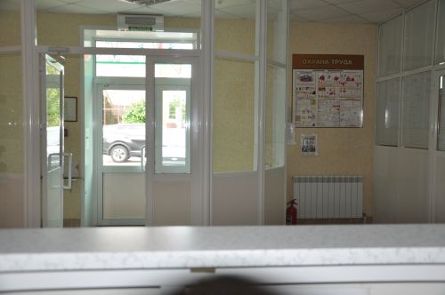 Сабада беренче тапкыр Хәләл фестиваль узды