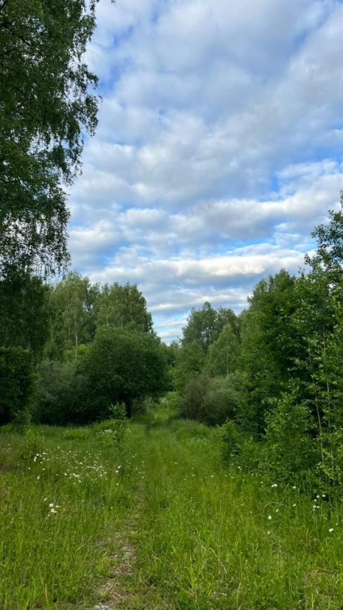 Бүген Сабада нинди һава торышы көтелә?