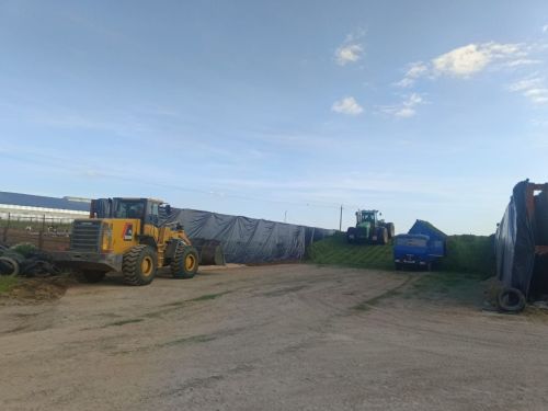 Юлбатта терлек азыгы әзерләү тулы көченә бара