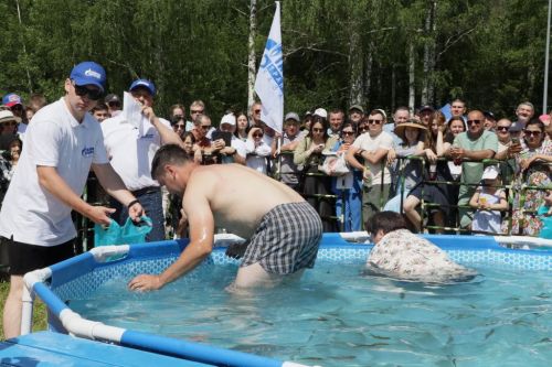 Күлдә балык  йөзәдер,  күп тотканнар җиңәдер